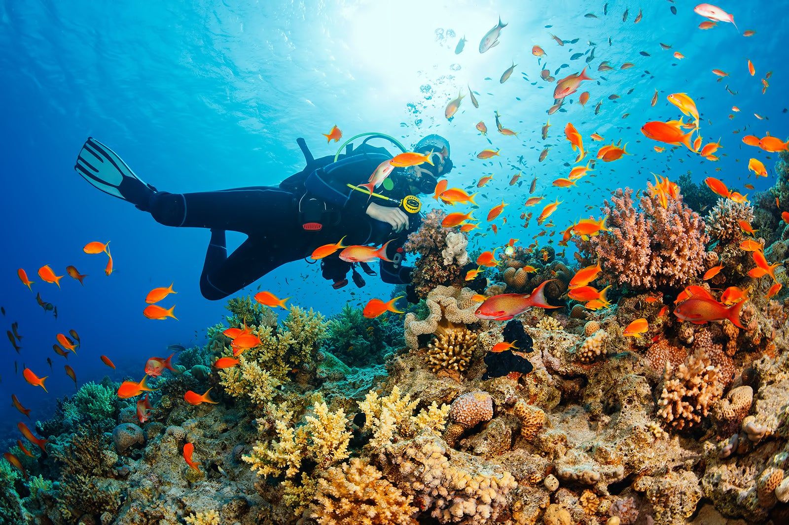 Scuba Diving in Thailand